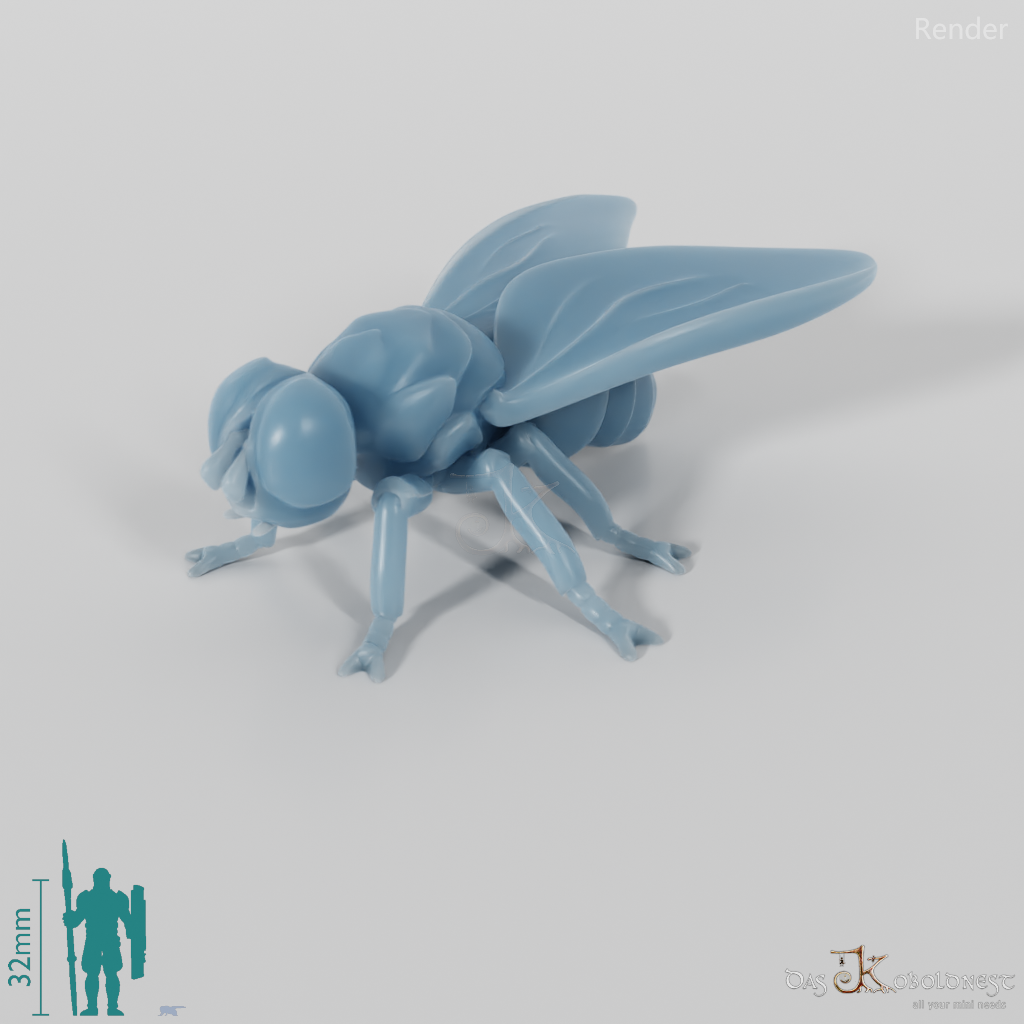 Insect - Fly 01