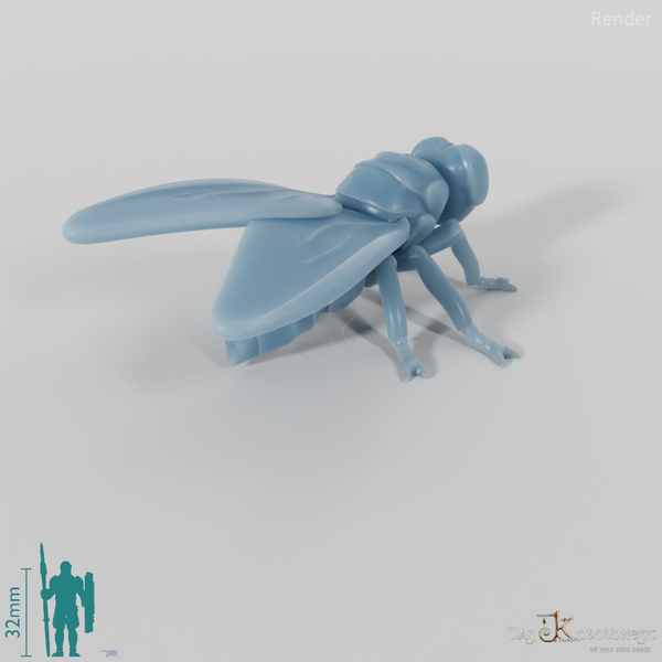 Insect - Fly 01