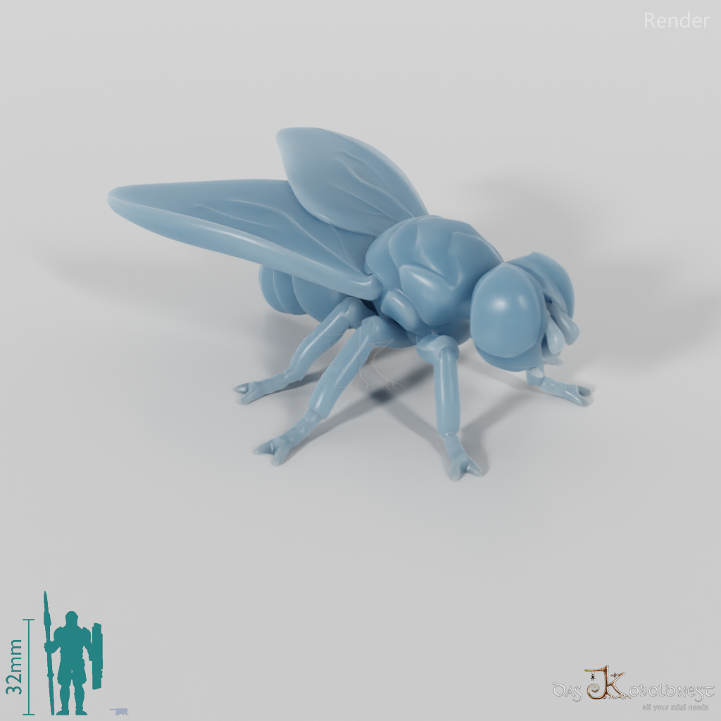 Insect - Fly 01