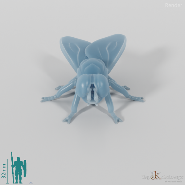Insect - Fly 01