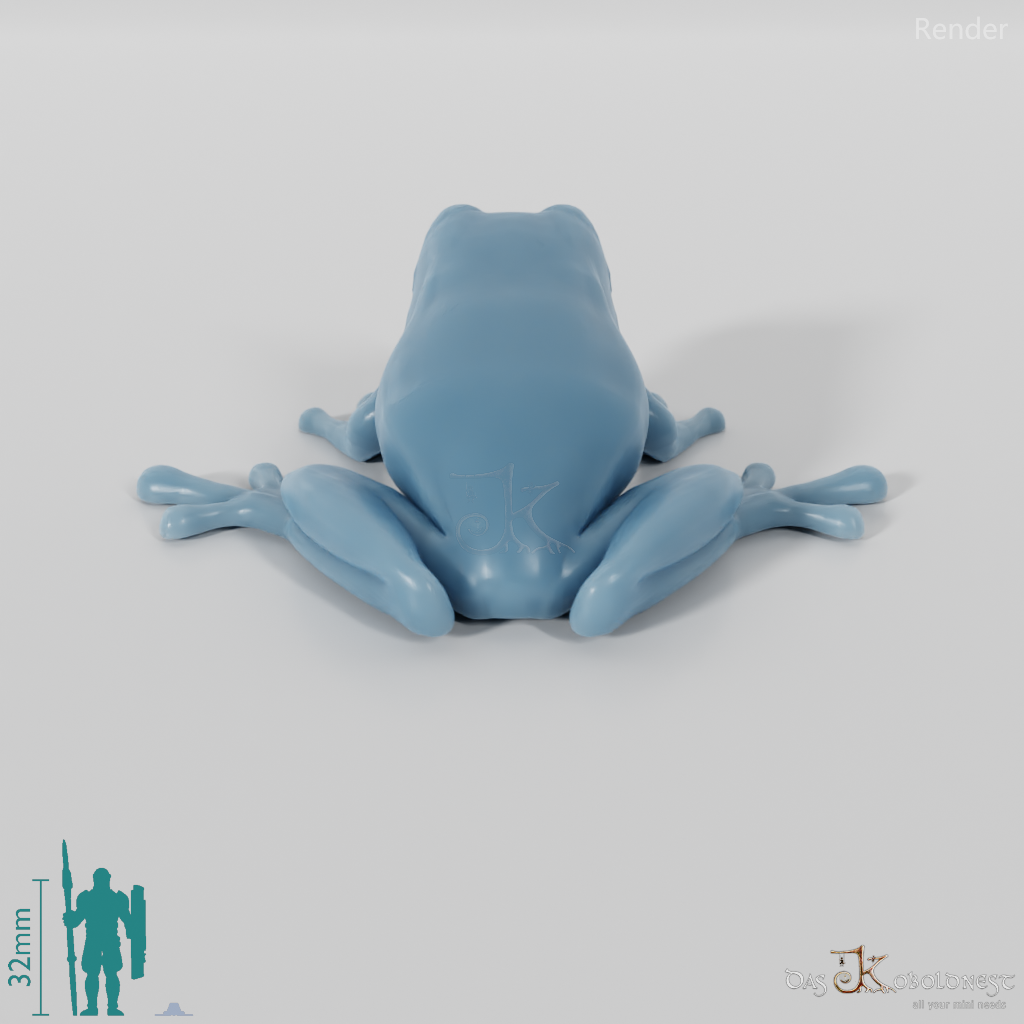 Frog - Frog 02