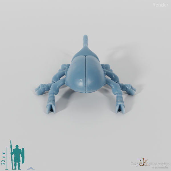 Käfer - Herkuleskäfer 01