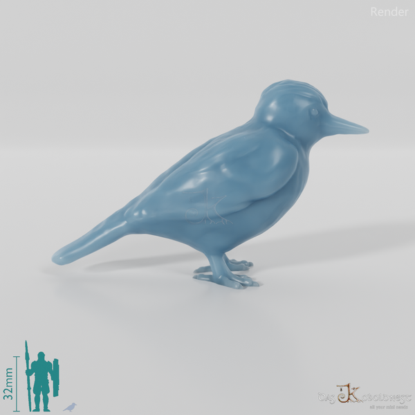 Bird - Woodpecker 01