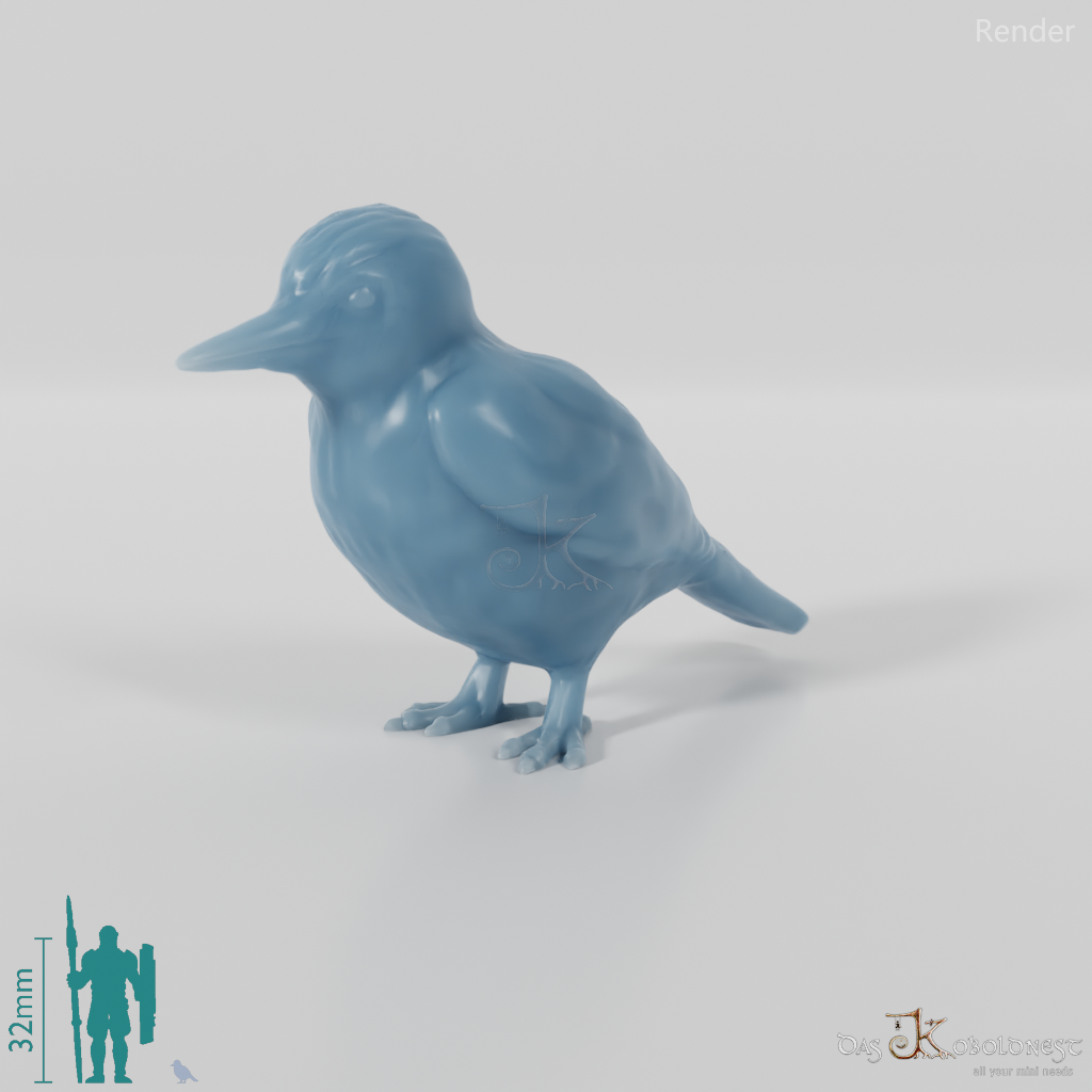Bird - Woodpecker 01