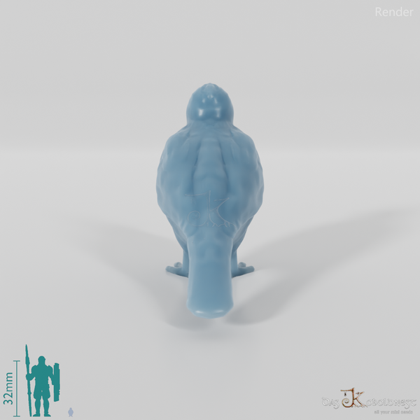 Bird - Woodpecker 01