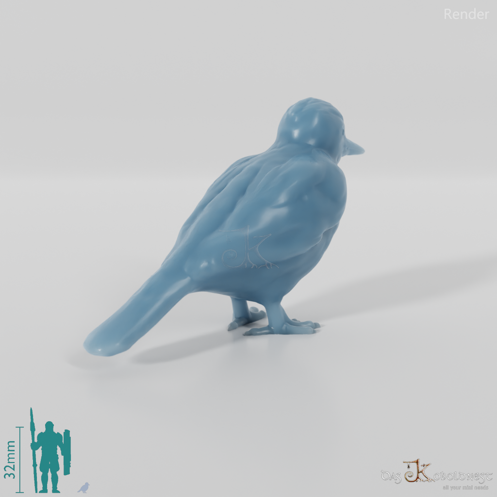 Bird - Woodpecker 01