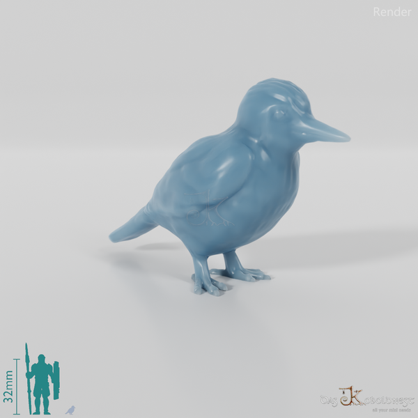 Bird - Woodpecker 01