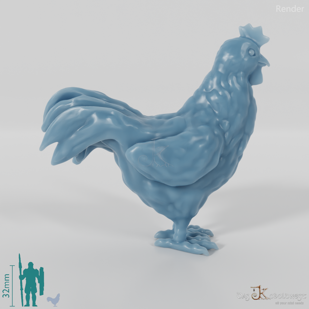 Chicken - Rooster 01