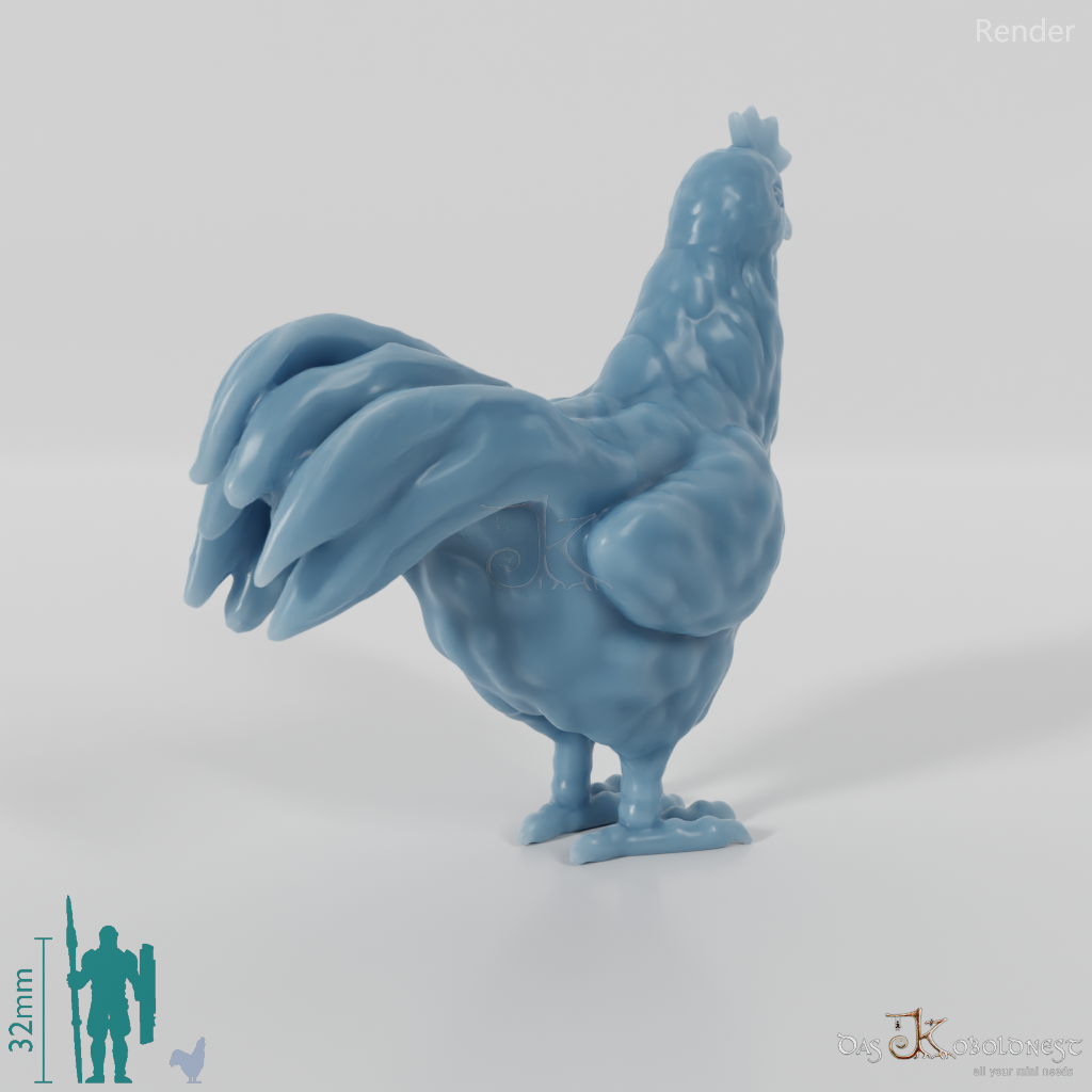 Chicken - Rooster 01