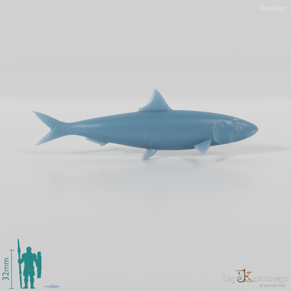 Fisch - Sardine 01