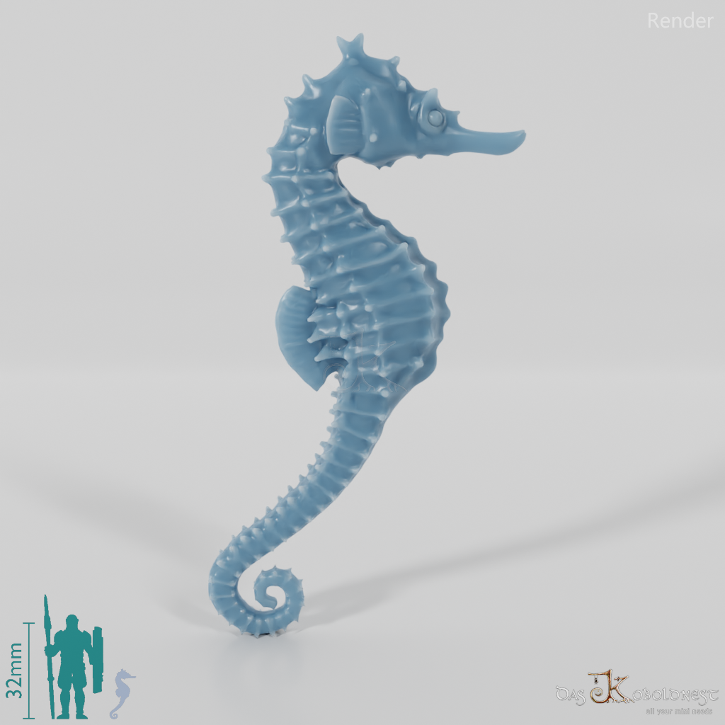 Seahorse - Seahorse 01