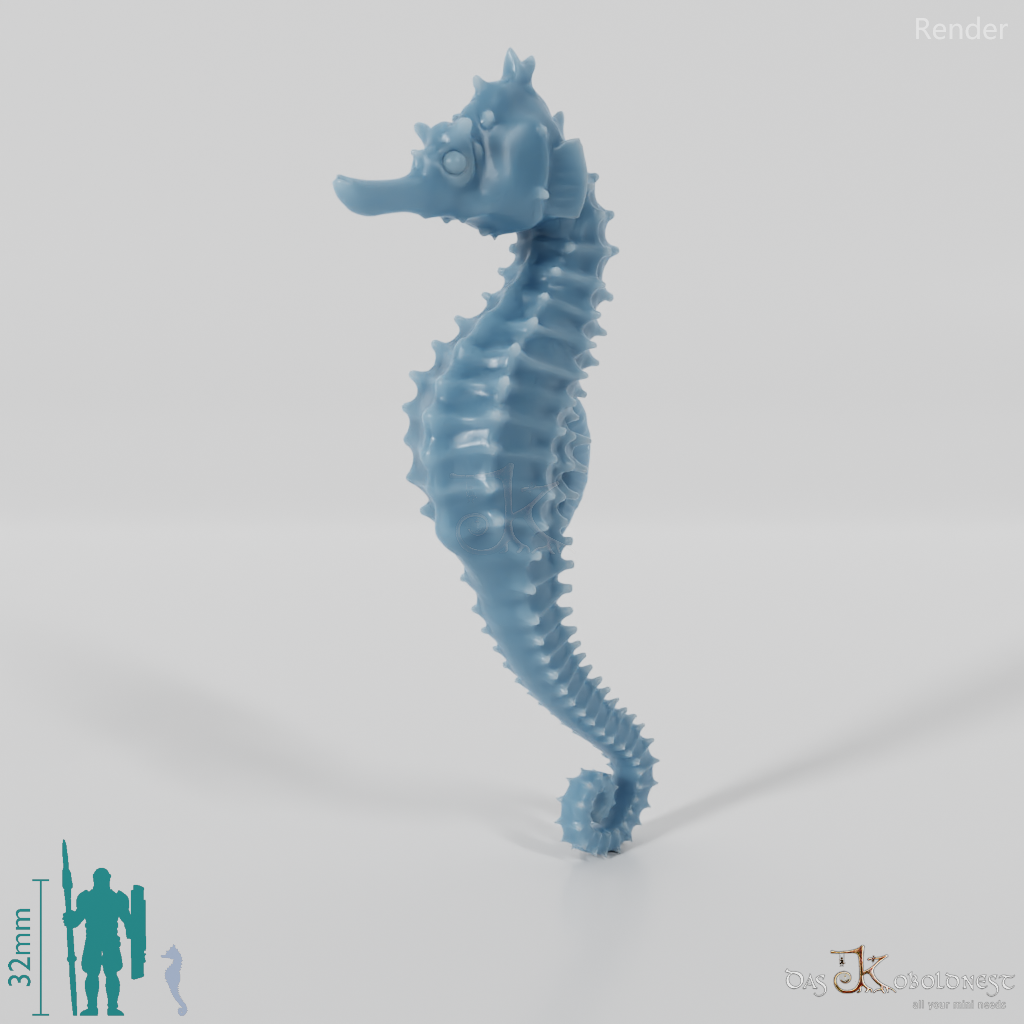 Seahorse - Seahorse 01