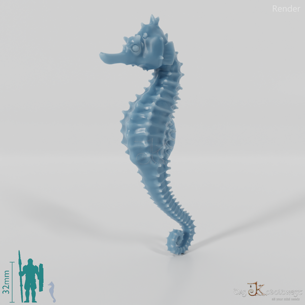 Seahorse - Seahorse 01