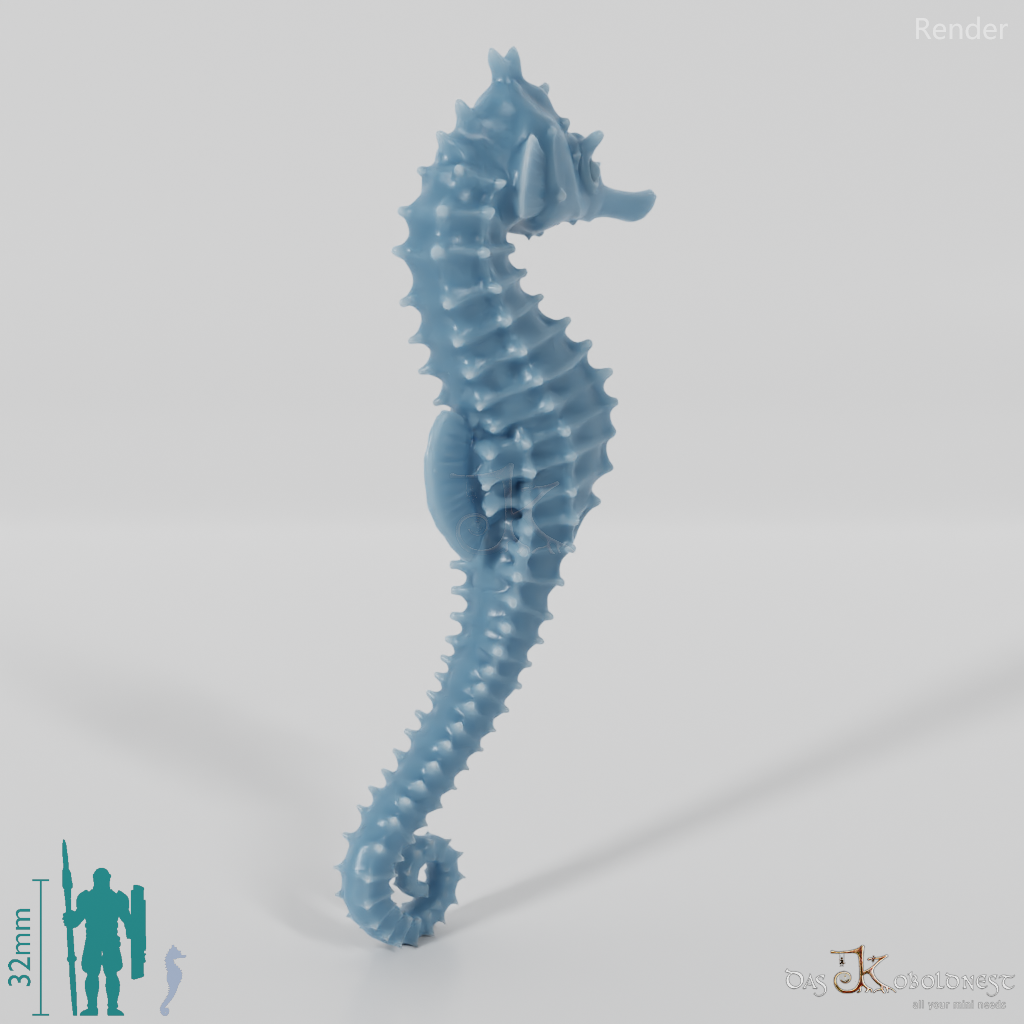 Seahorse - Seahorse 01