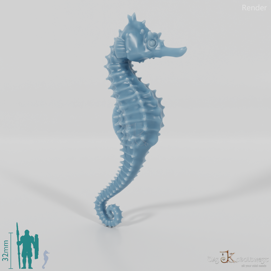 Seahorse - Seahorse 01