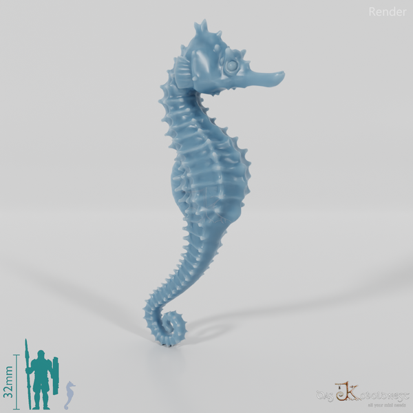 Seahorse - Seahorse 01