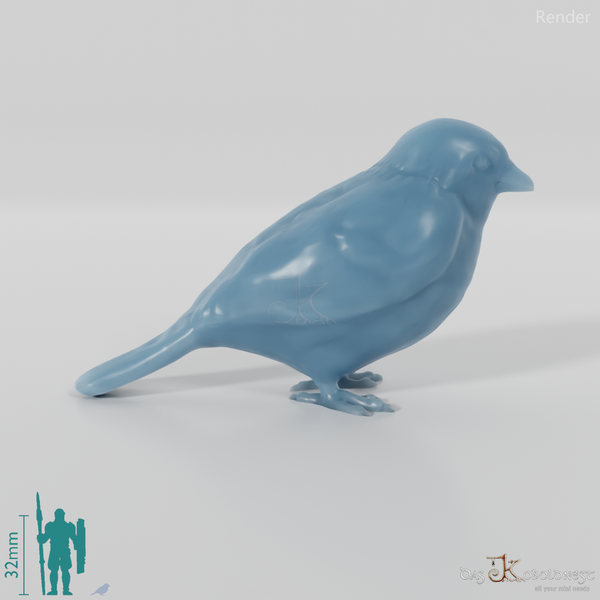 Bird - Sparrow 01