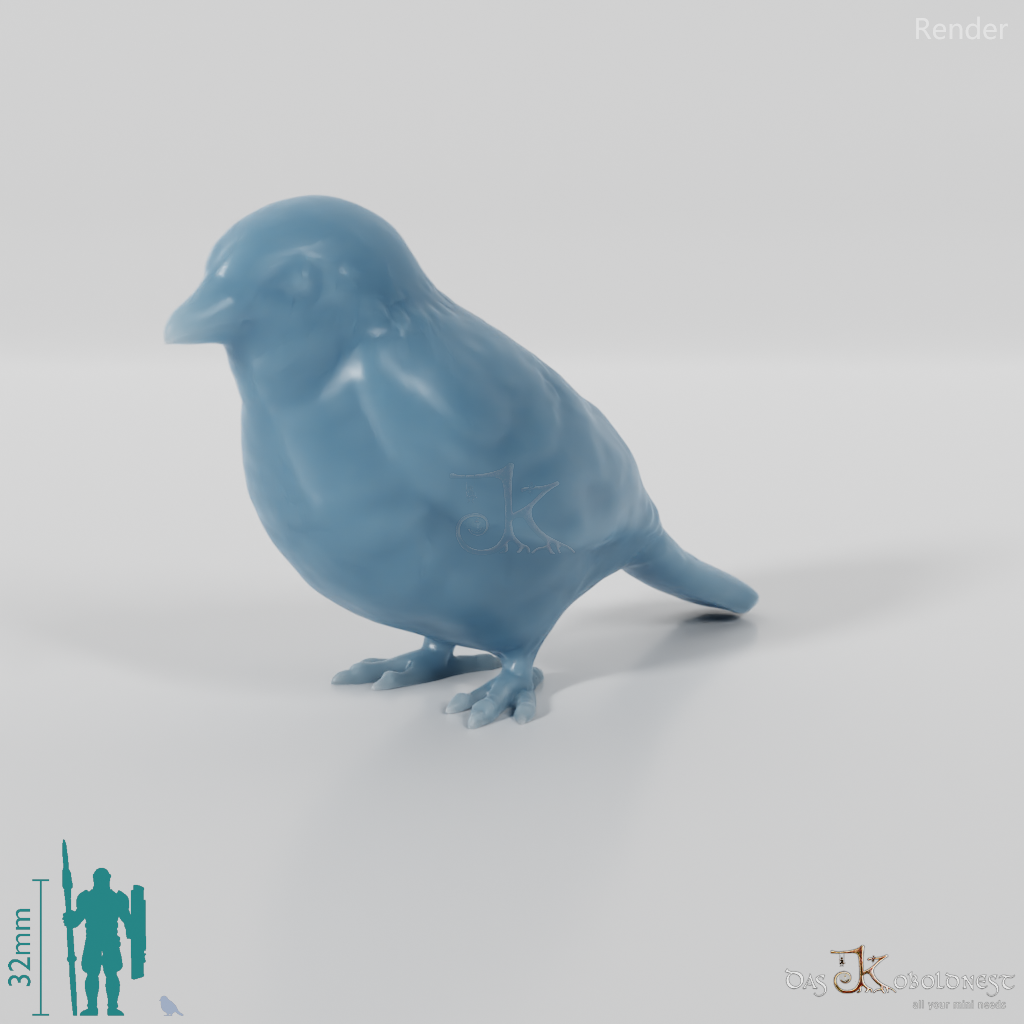 Bird - Sparrow 01