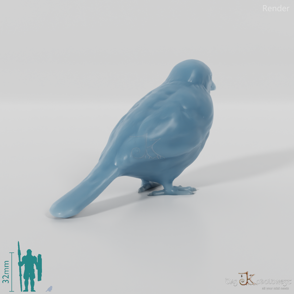 Bird - Sparrow 01