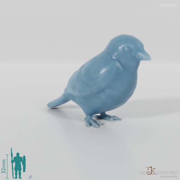 Bird - Sparrow 01