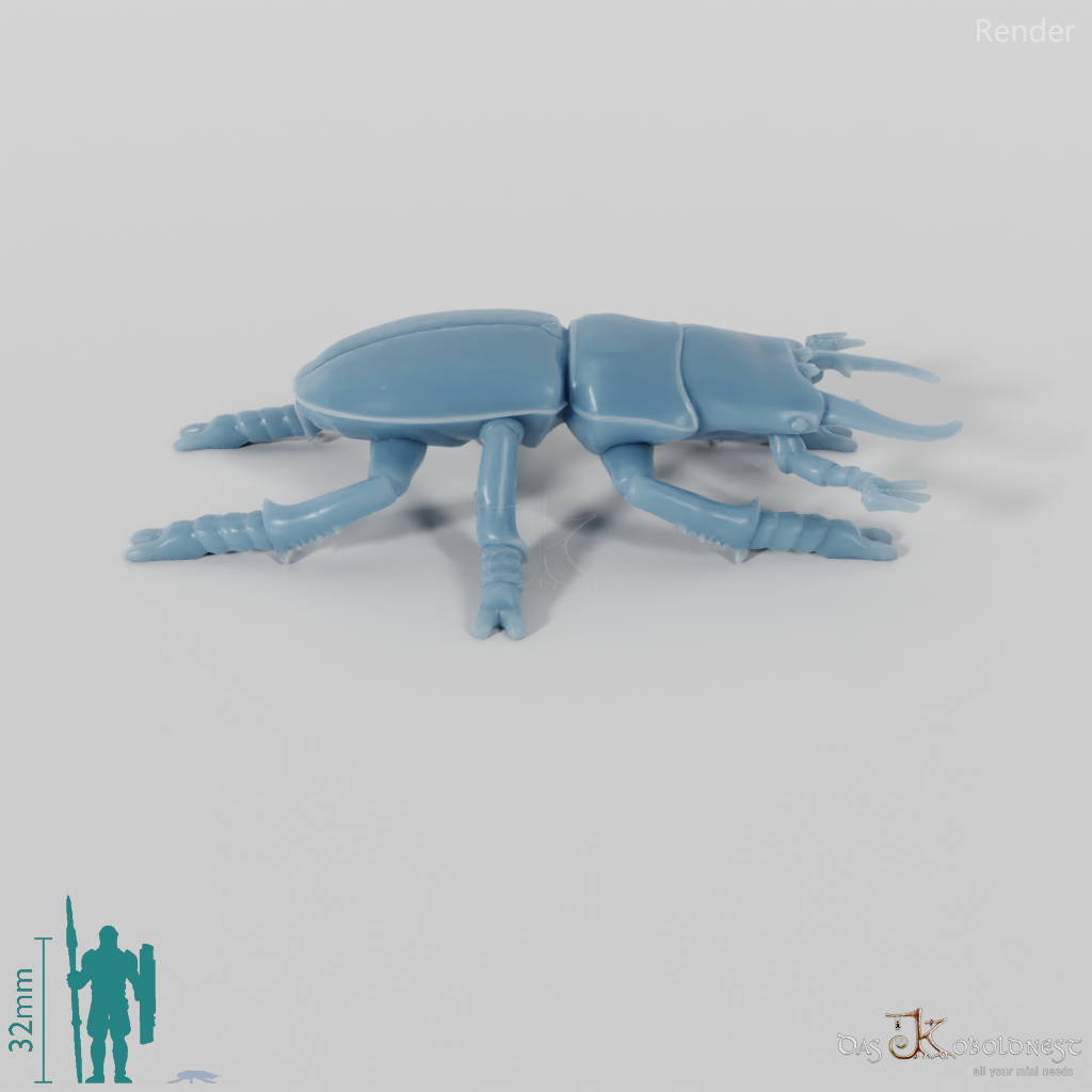 Beetle - Stag Beetle 01