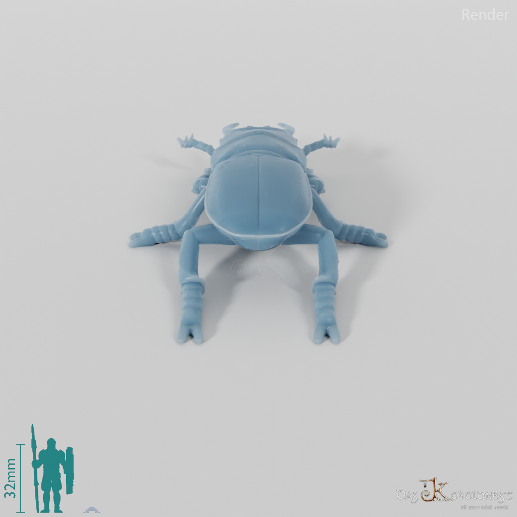 Beetle - Stag Beetle 01