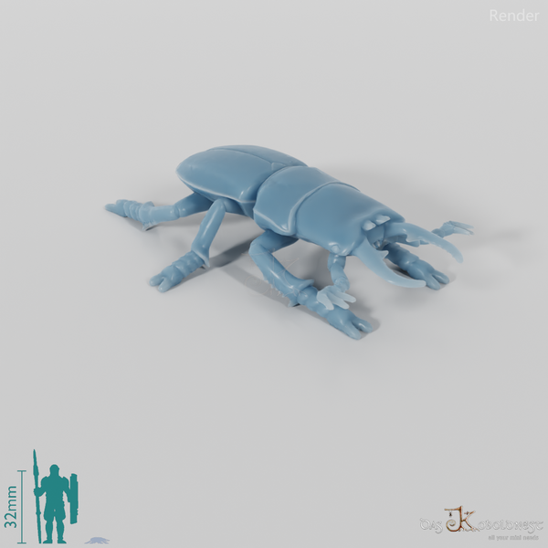 Käfer - Hirschkäfer 01