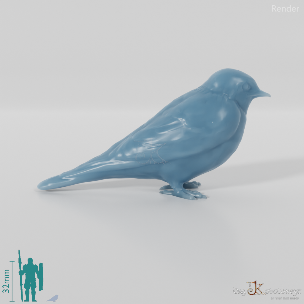 Bird - Swallow 01