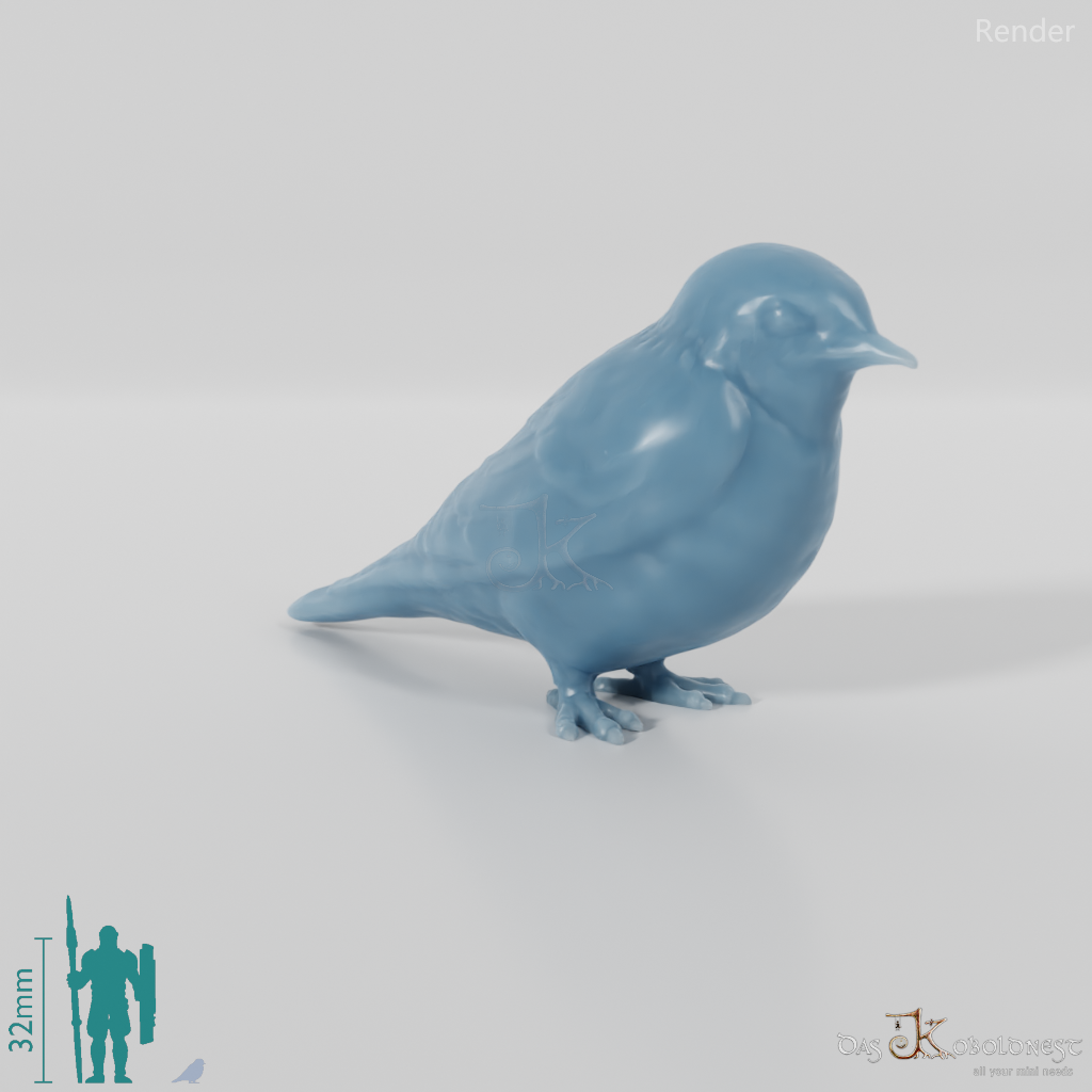 Bird - Swallow 01