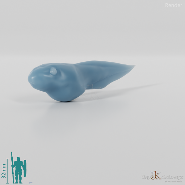 Frosch - Kaulquappe 01