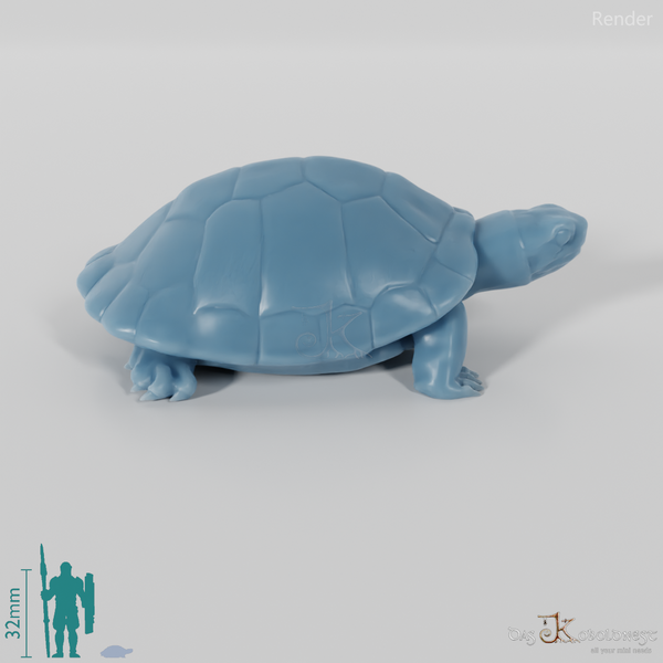 Schildkröte - Schildkröte 01