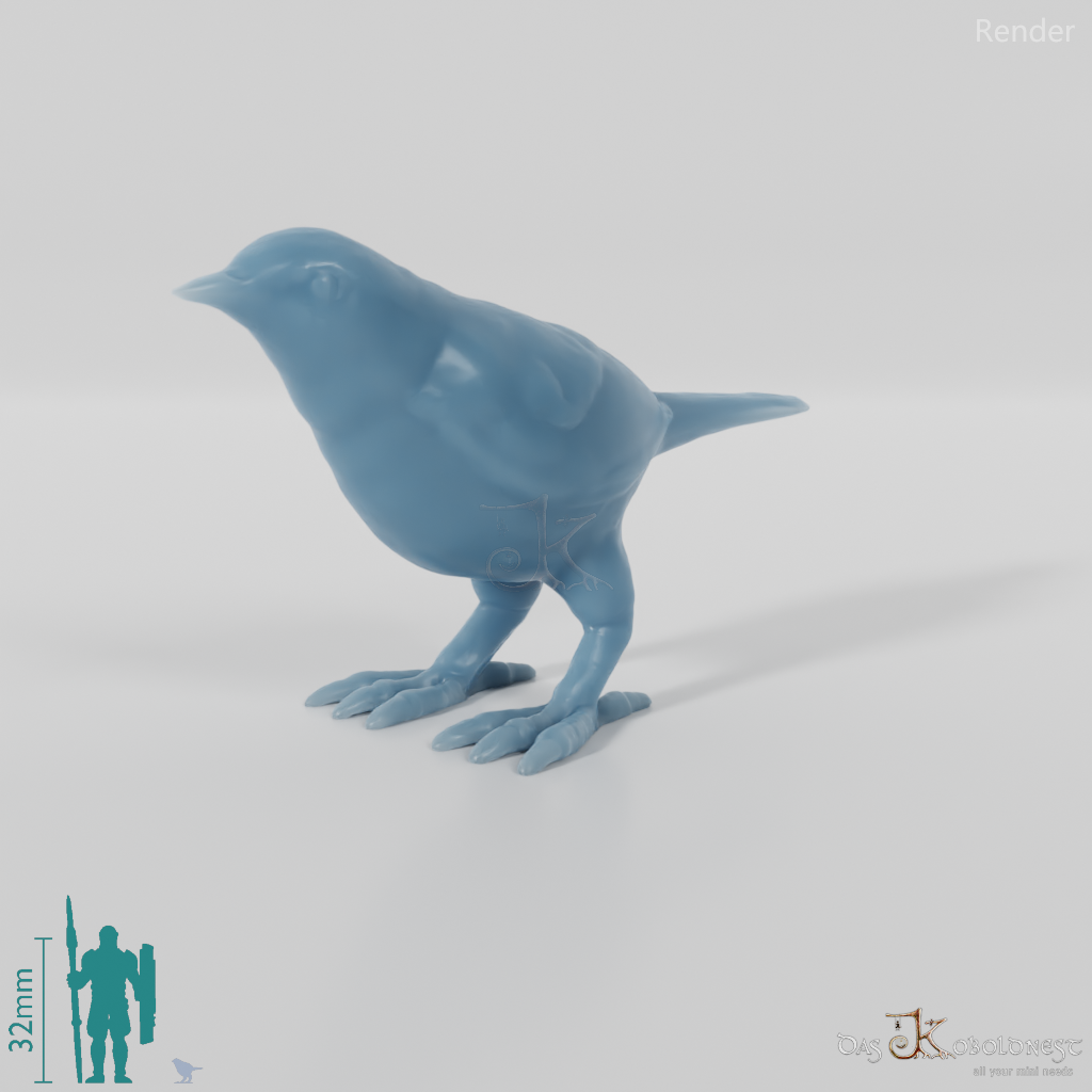 Bird - Warbler 01
