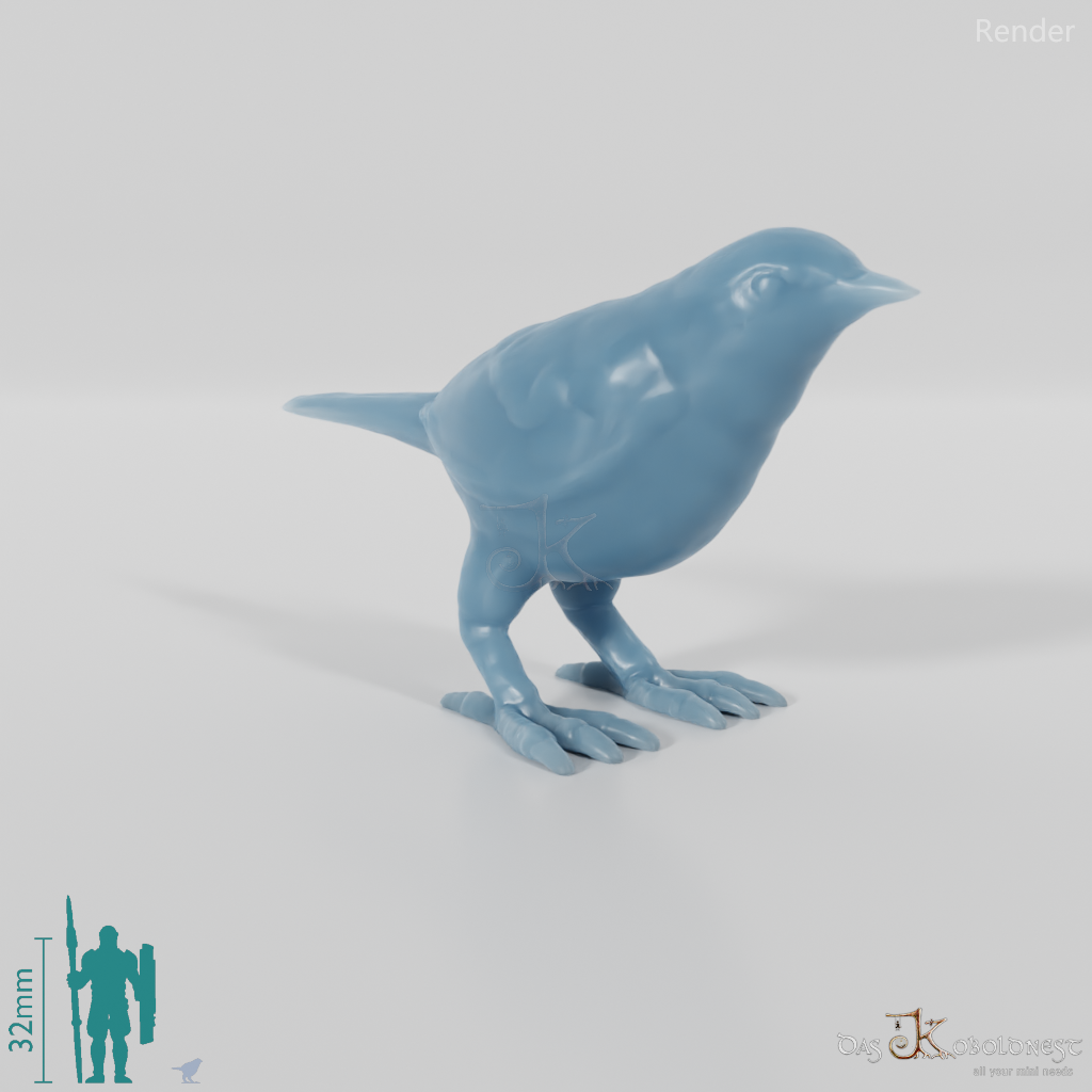 Bird - Warbler 01