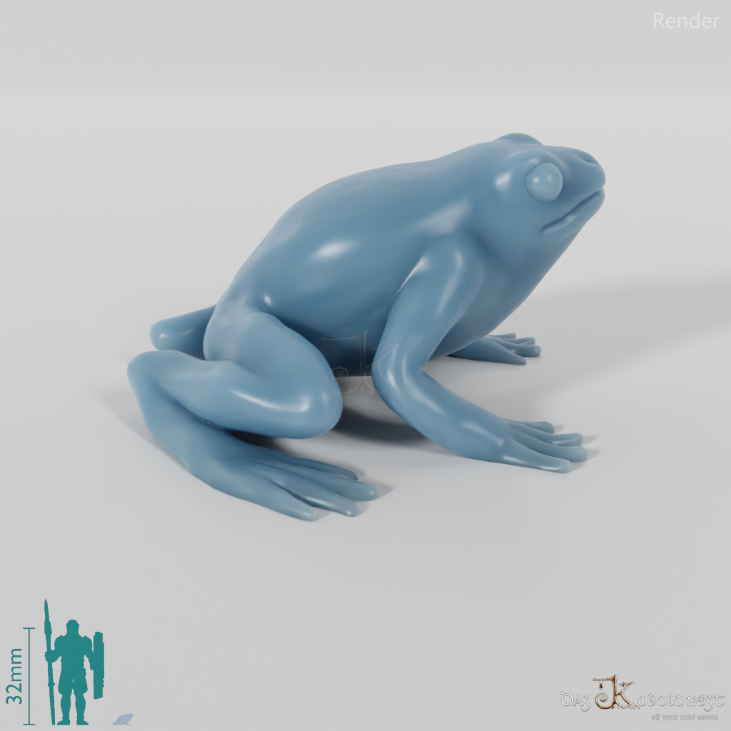 Frog - Frog 01