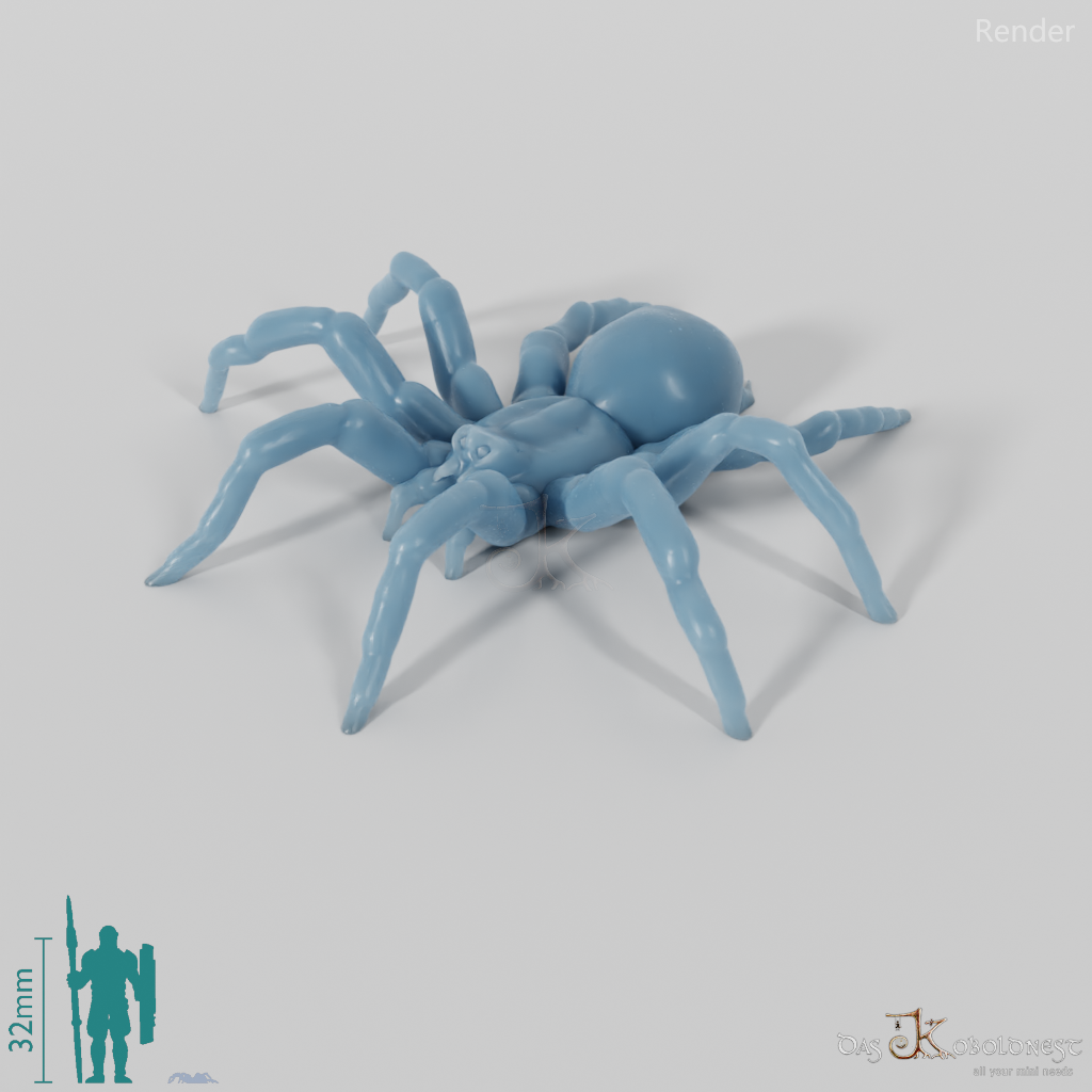 Spider - Tarantula 01