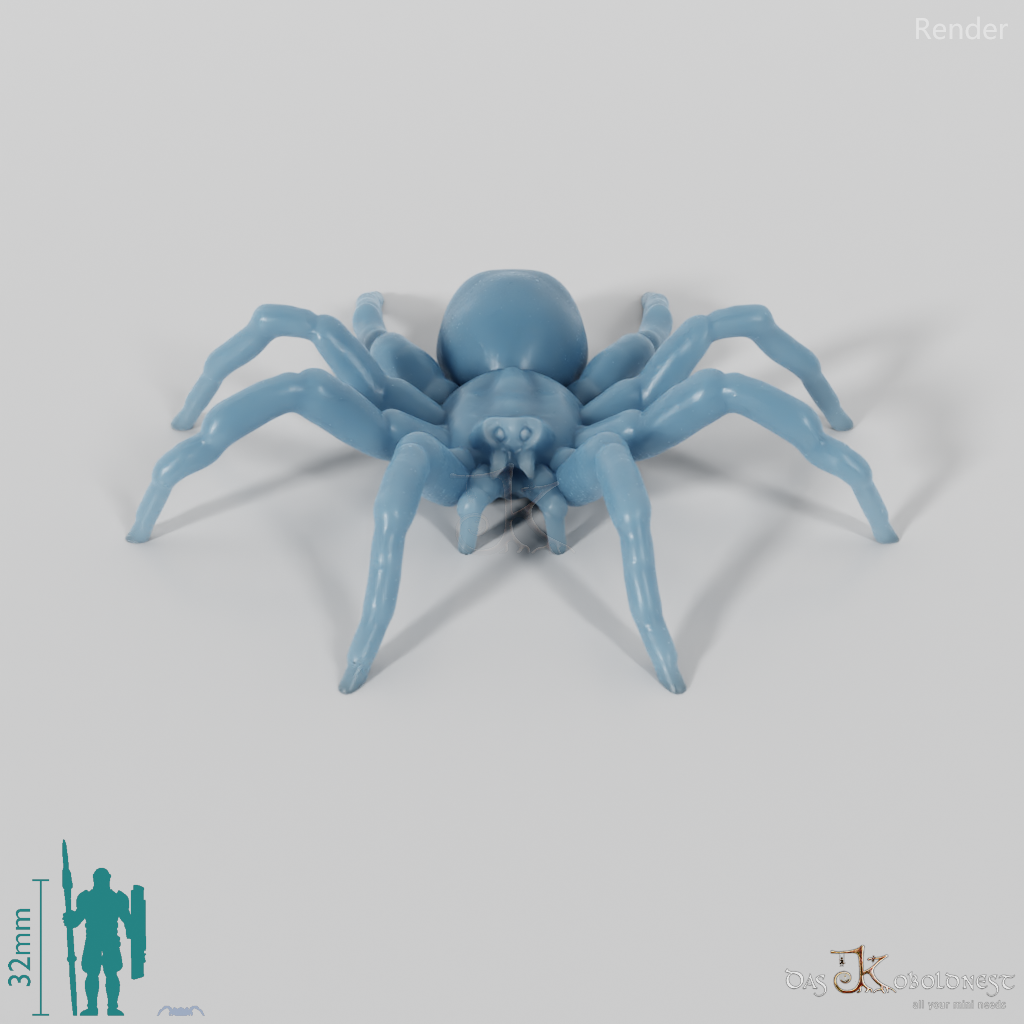 Spider - Tarantula 01