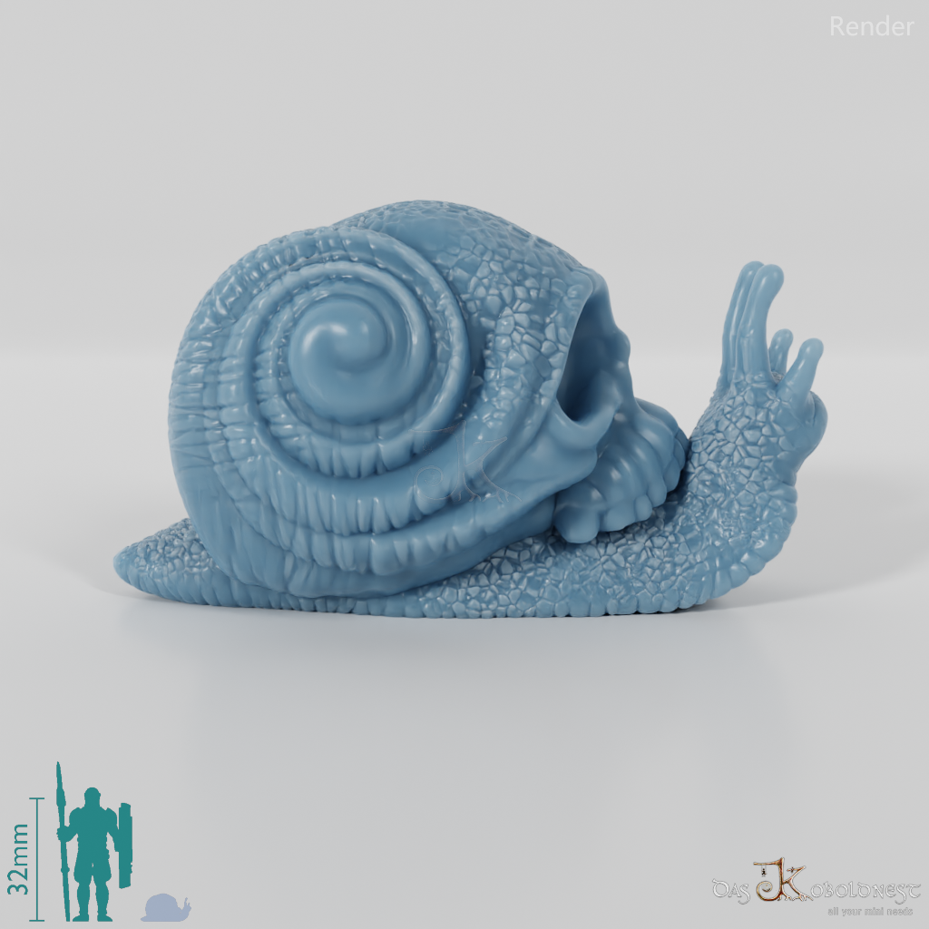 Snail - skull snail