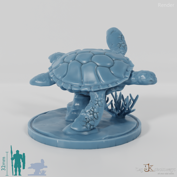 Turtle - sea turtle on rock