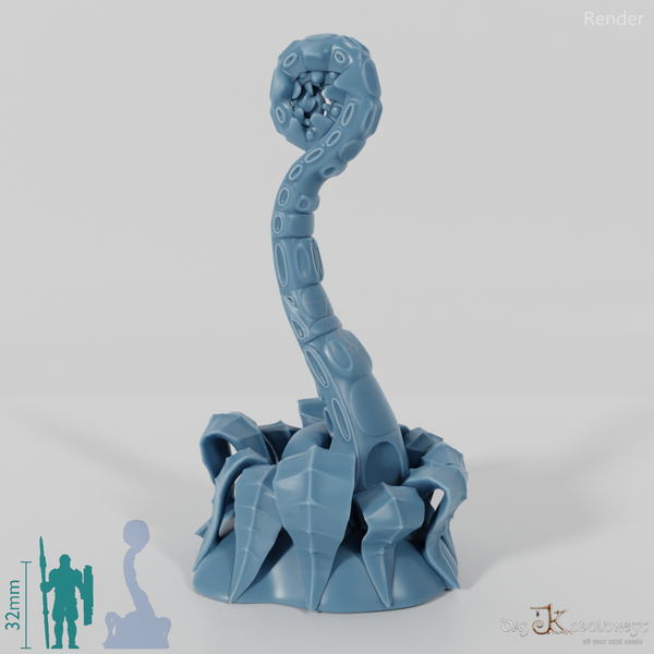 Simple tentacle fern