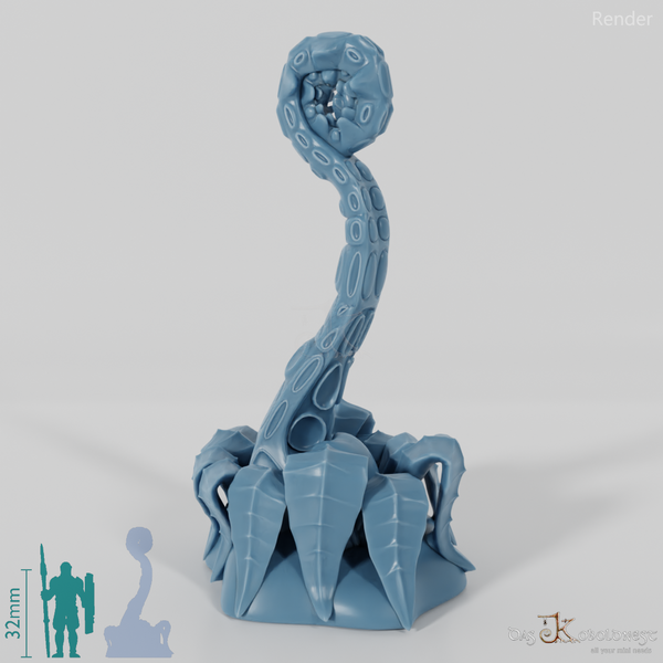 Simple tentacle fern