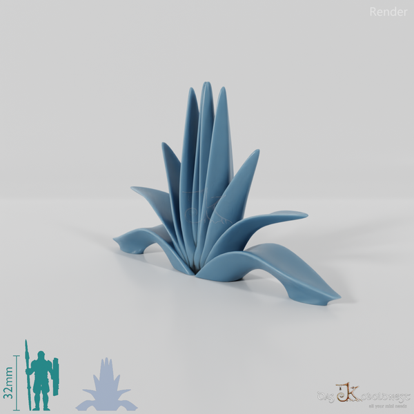 agave