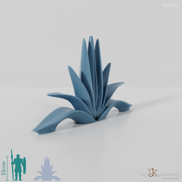 agave