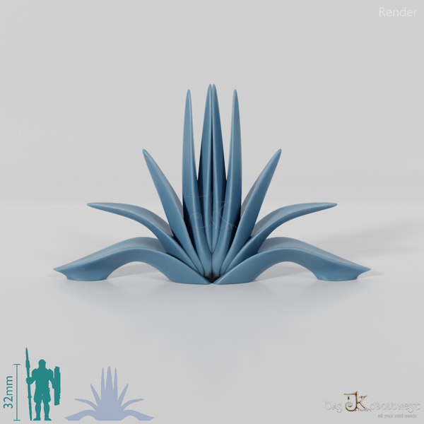 agave