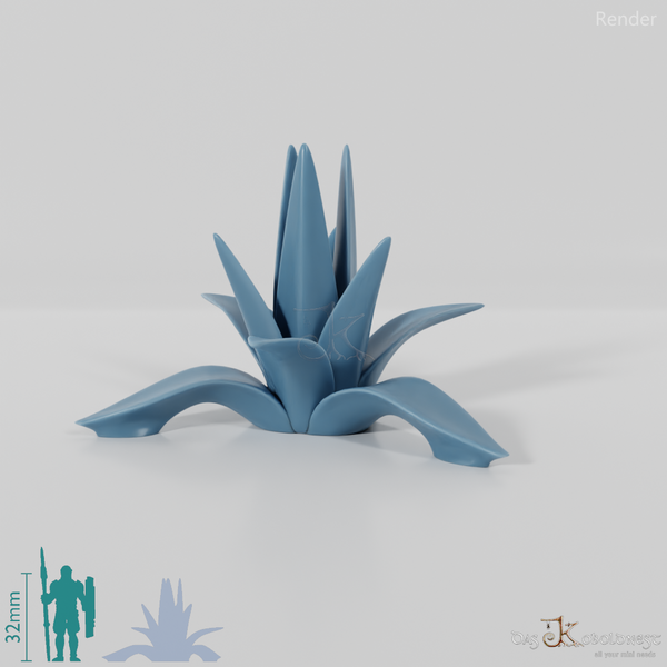 agave