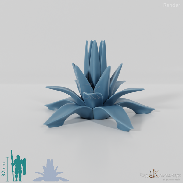 agave