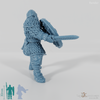 Viking with short sword and shield