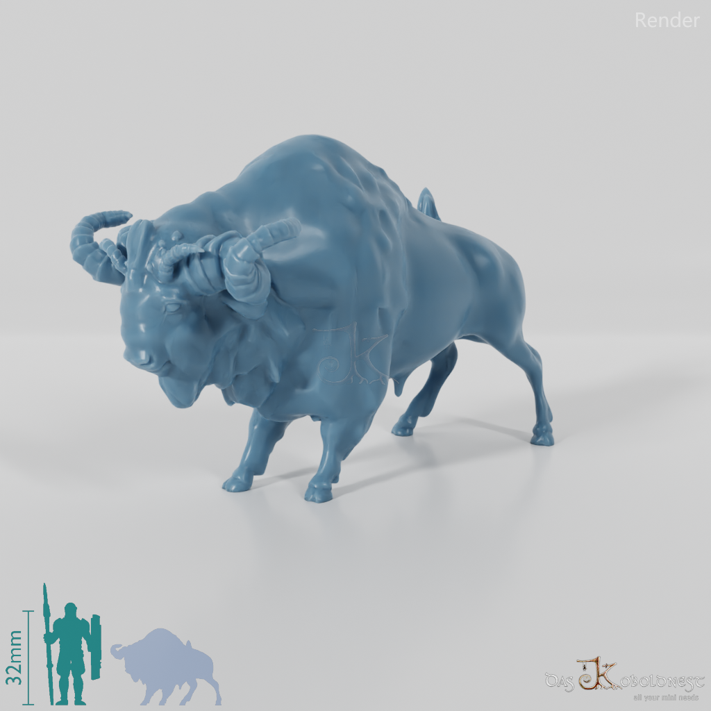 Beef - Aurochs 01