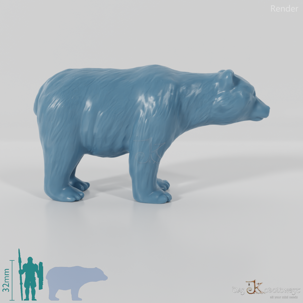 Bear - Brown Bear 01