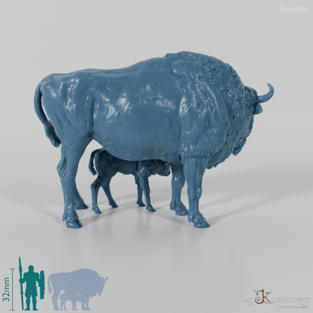 Bison - Europäische Bisons - Kuh und Kalb