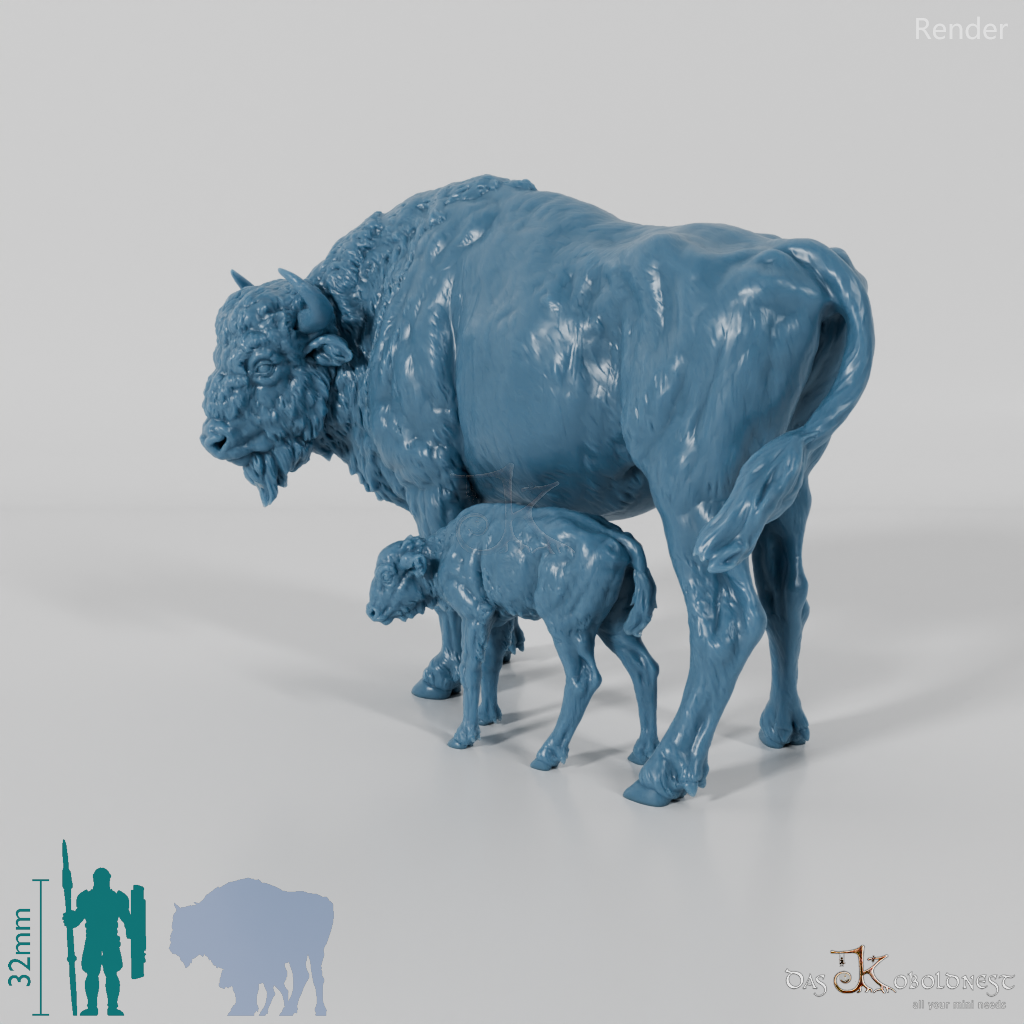 Bison - European bison - cow and calf